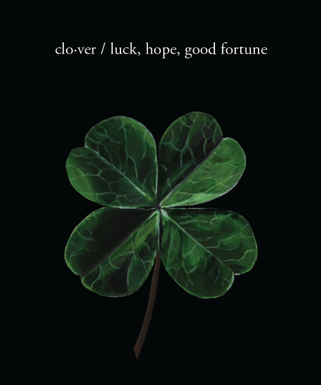 Four Leaf Clover Sticker | Floral Affirmation Art