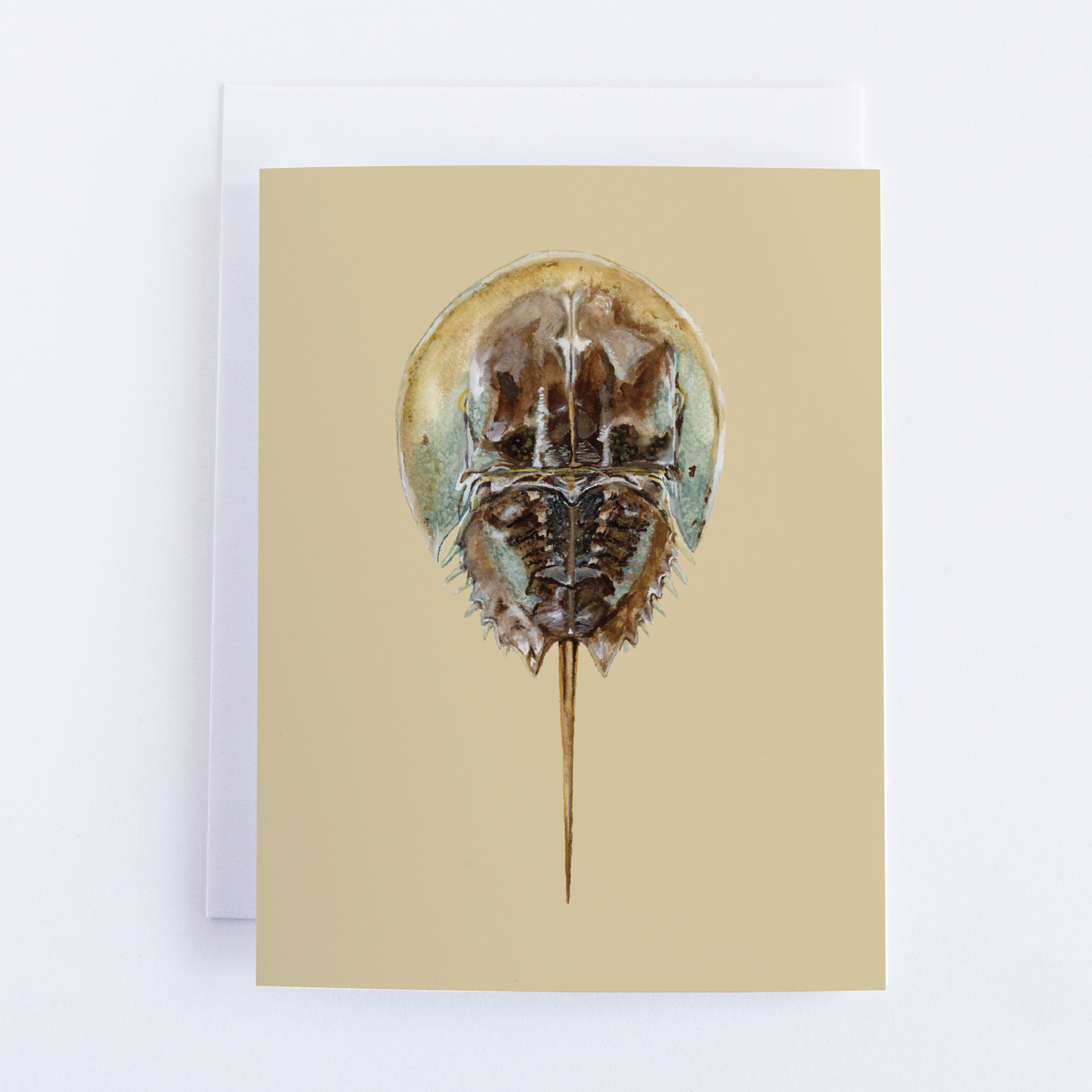 Horseshoe Crab | Coastal Greeting Card