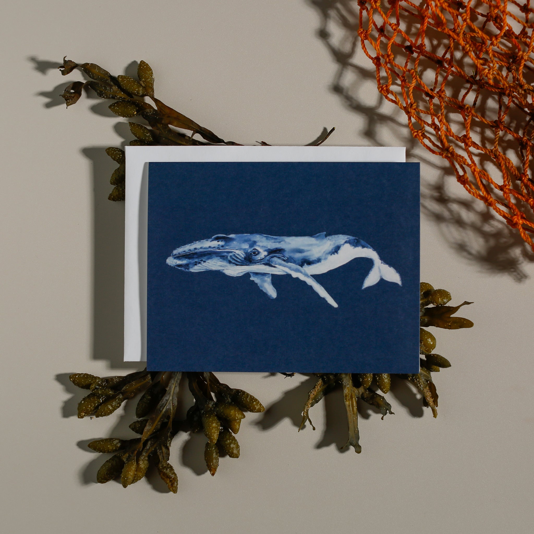Humpback Whale | Coastal Greeting Card