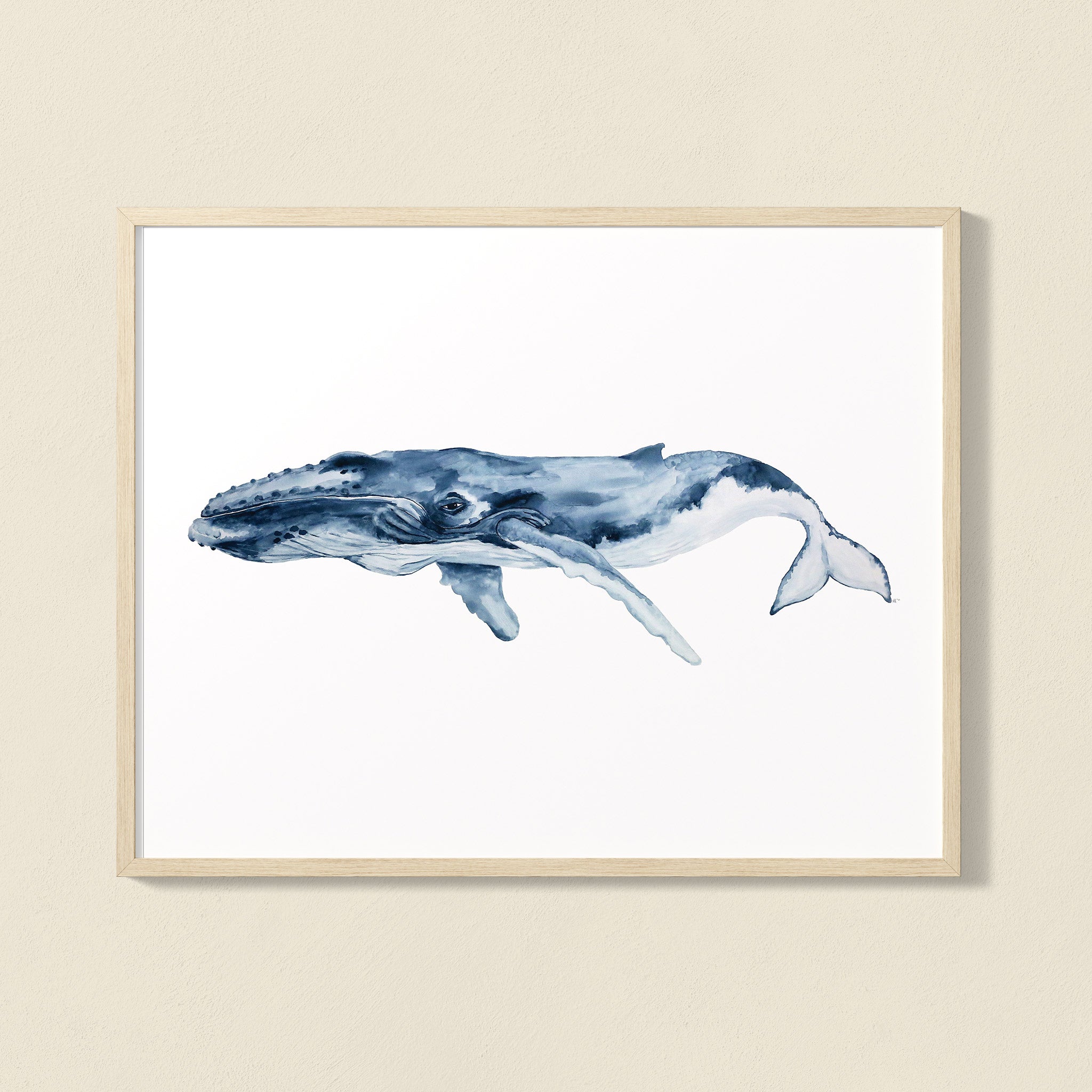 Humpback Whale Watercolor Art Print
