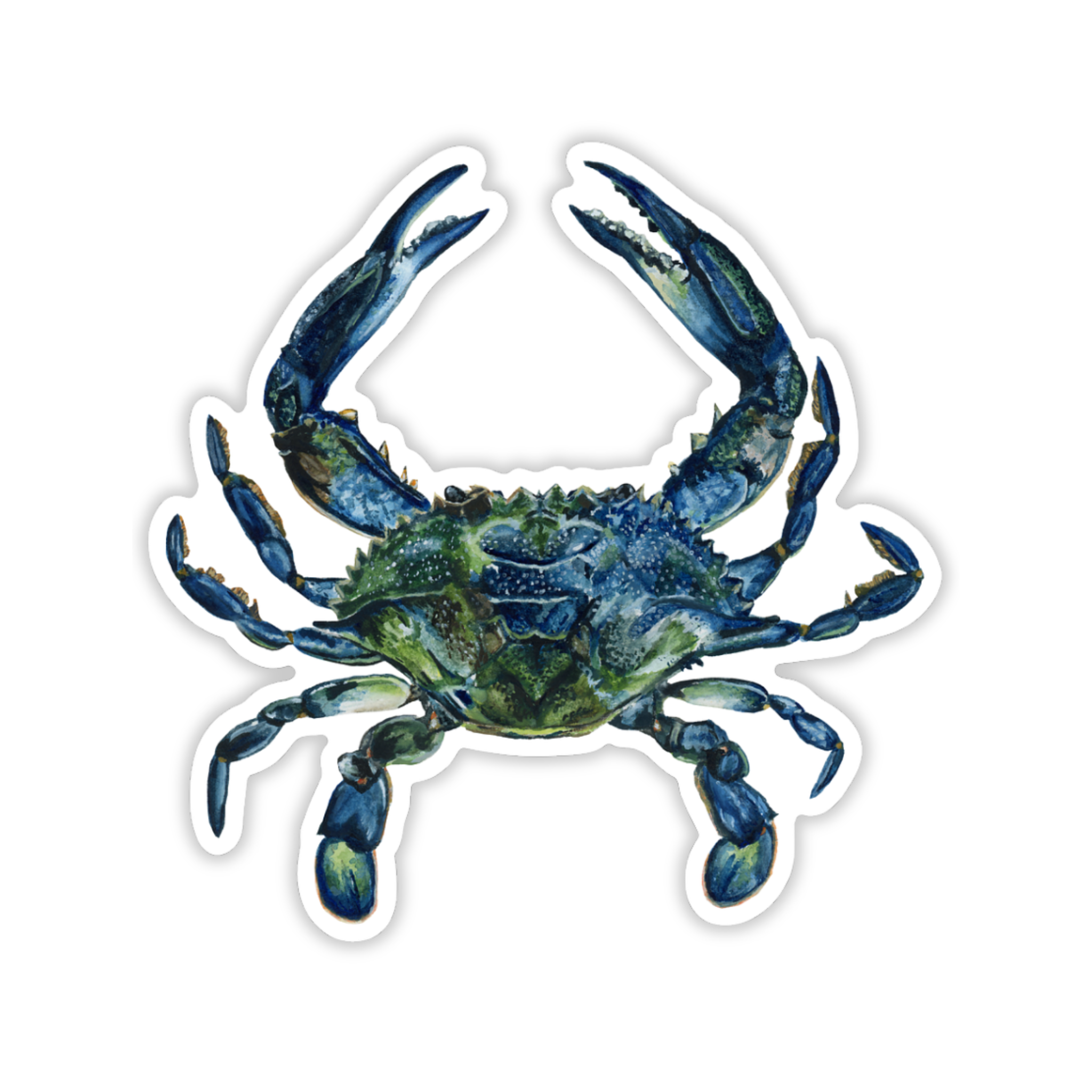 Blue Crab Vinyl Sticker | Coastal Art Sticker