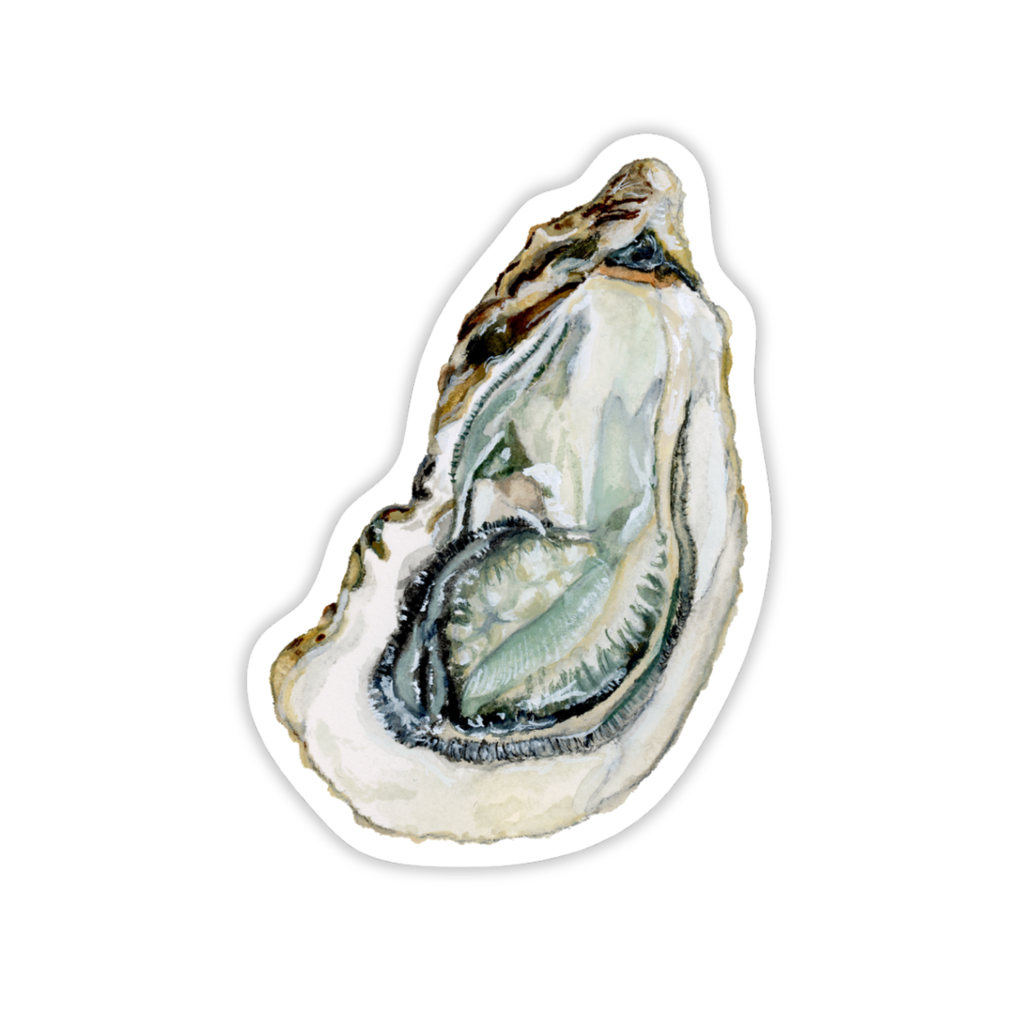 Oyster Vinyl Sticker | Coastal Art