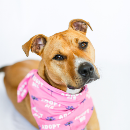 Pink Adopt Me Pet Bandana