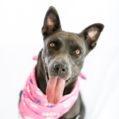 Pink Adopt Me Pet Bandana