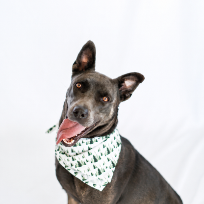 Evergreen Tree Pet Bandana