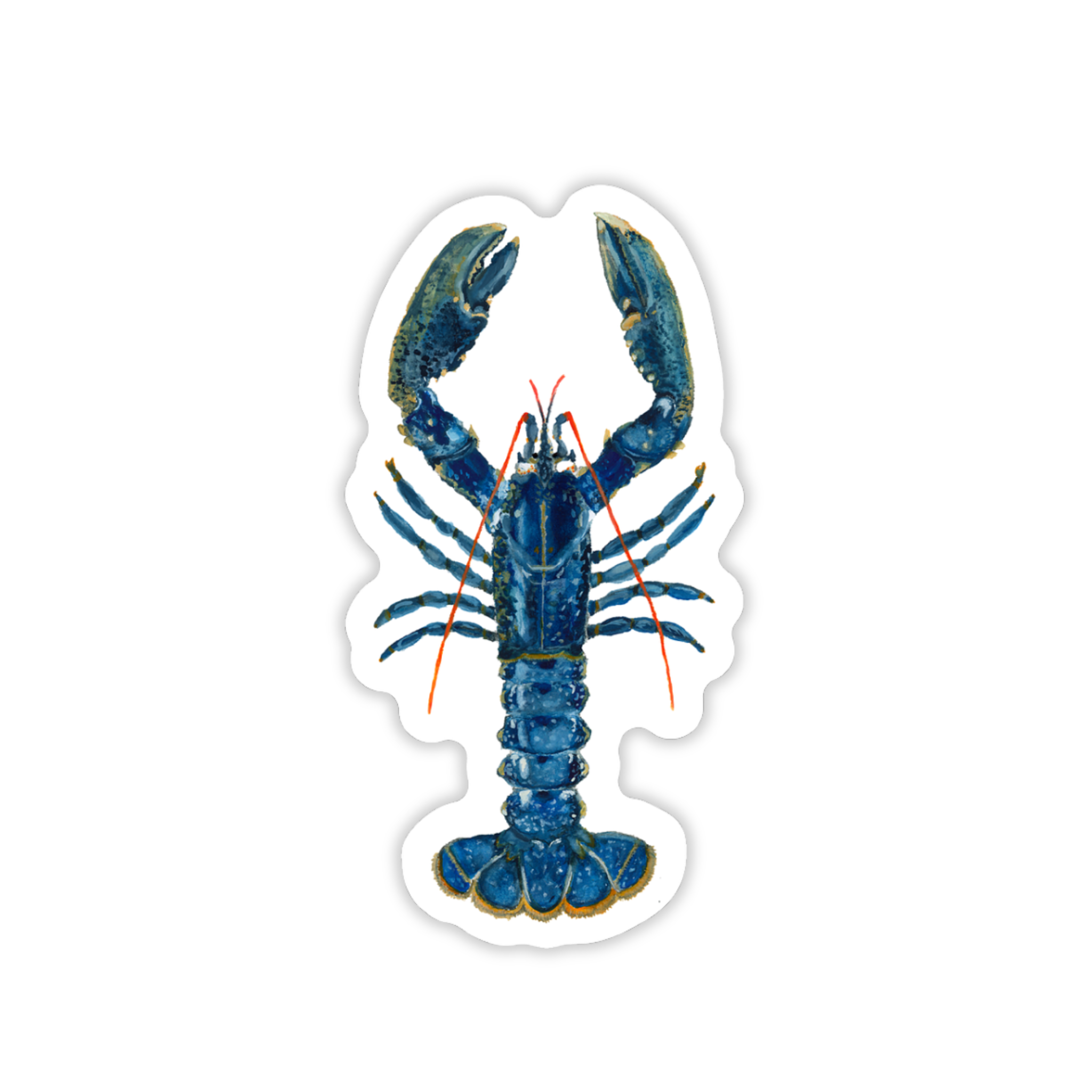 Blue Lobster Vinyl Sticker | Coastal Art