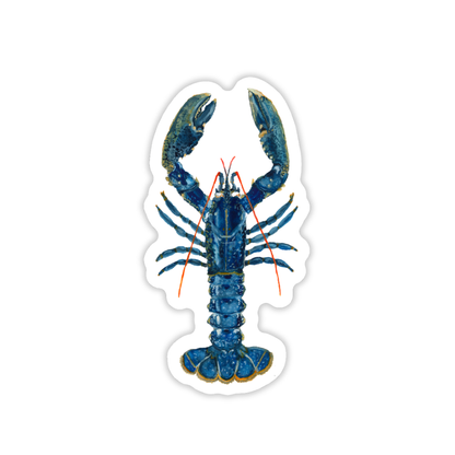 Blue Lobster Vinyl Sticker | Coastal Art