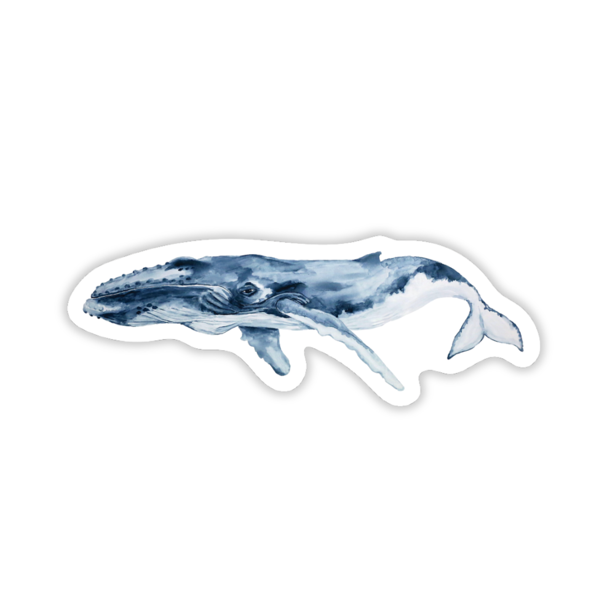 Whale Vinyl Sticker | Ocean Wildlife Art