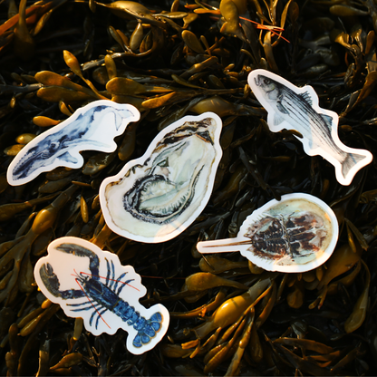 Whale Vinyl Sticker | Ocean Wildlife Art