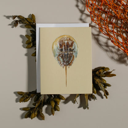 Horseshoe Crab | Coastal Greeting Card